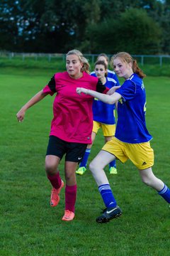 Bild 214 - B-Juniorinnen TSV Gnutz o.W. - SV Wahlstedt : Ergebnis: 1:1